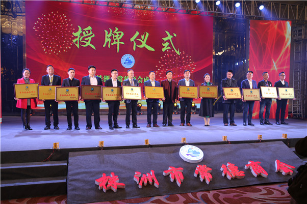 杨主任授牌_副本.jpg