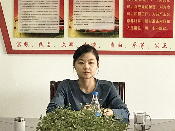区委常委、统战部长徐桢作指示.jpg