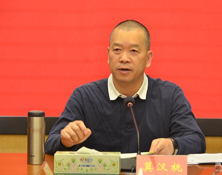 武陵区委书记莫汉桃讲话