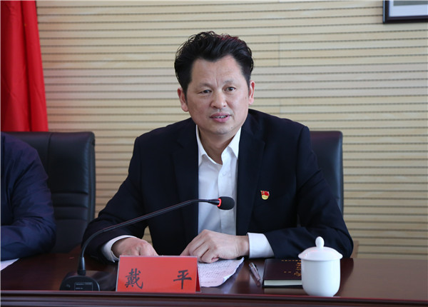 市委第三巡察组组长戴平同志讲话_副本.jpg