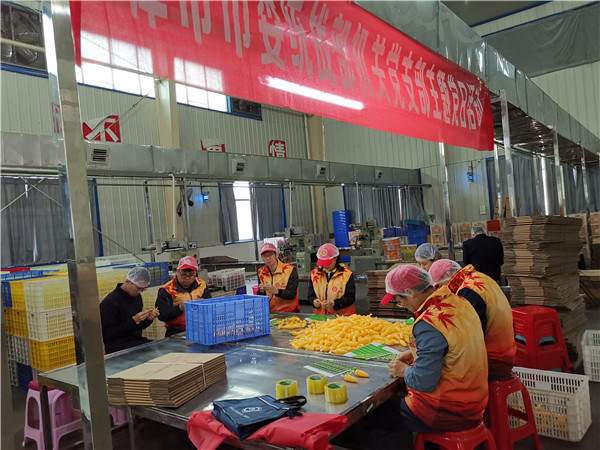 统战部、工商联体验食品包装3.jpg