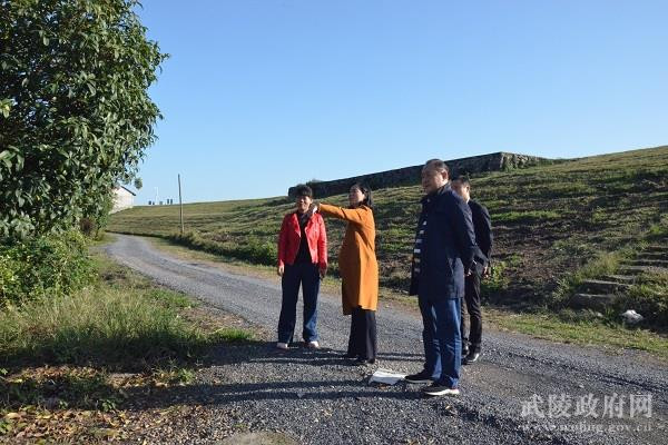 实地查看需硬化沿堤路段.jpg