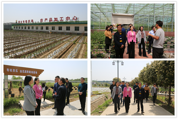 走访常德市壹德壹食品有限公司.png