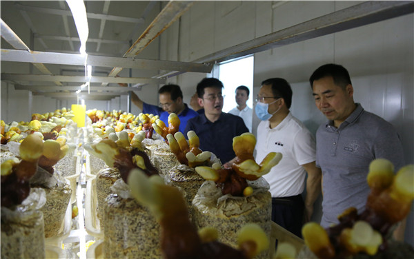 永春堂生物科技.jpg 永春堂生物科技.jpg