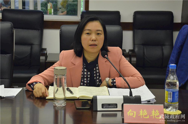 区委常委、统战部部长向艳艳讲话.jpg