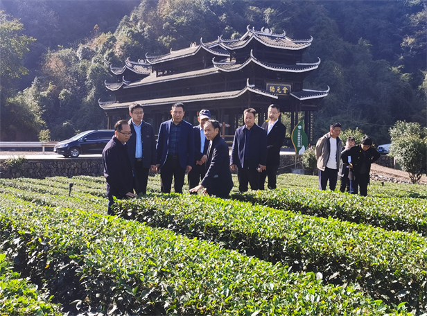 考察干发茶业.jpg