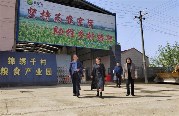 锦绣千村调研4.jpg