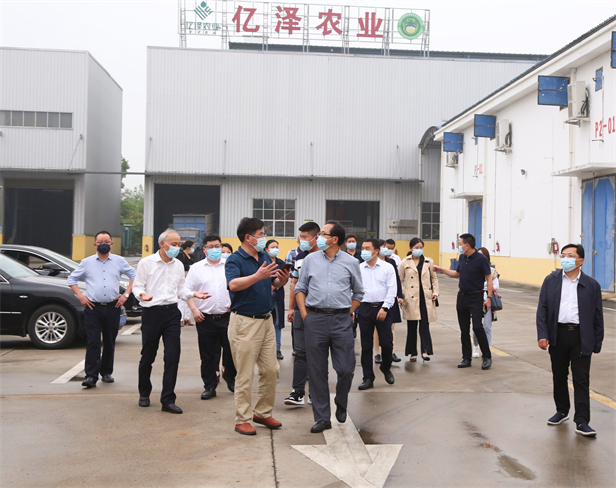 调研亿泽生态农业 (2).jpg